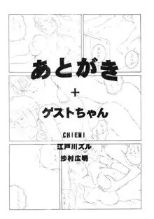 ポルノ畑でつかまえて, 日本語