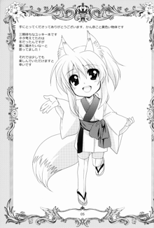 Wonderful Fox, English