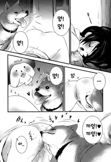 Kesa no Wanko | The Dog's Morning, 한국어