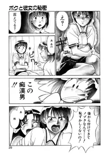 ボクと彼女の秘密, 日本語