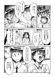 ボクと彼女の秘密, 日本語