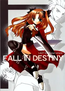 Fall in Destiny, 中文