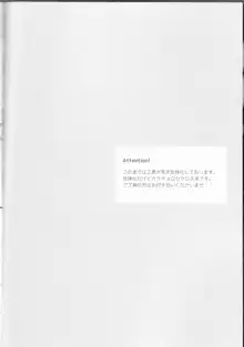 俺とシスターのカラチョロBABYに逢いたくはないか?, 日本語