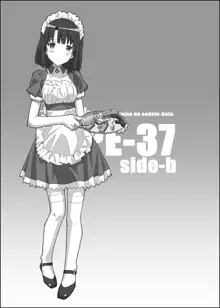 TYPE-37 side-b, 日本語