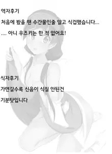 Machi Kaihatsuchuu?! | 마치 개발중?!, 한국어