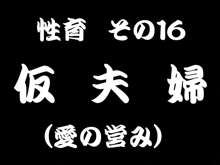 愛義娘性育日記, 日本語