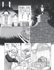 Visionary_vol.02_chap.07, 日本語