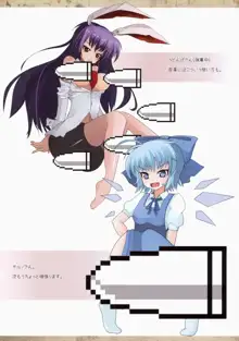 東方妄画録, 日本語