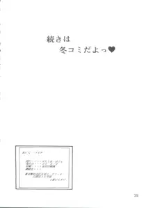 えぶぁん26.5 II, 日本語