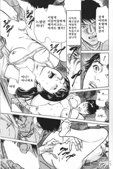 Hazuki Kaoru no Tamaranai Hanashi 2, 한국어