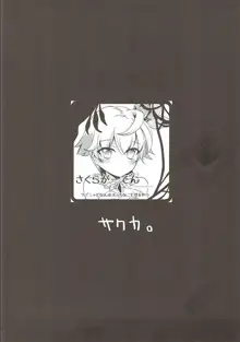 アイシャちゃれんじ☆4, 日本語