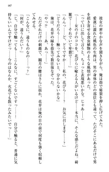 縁結びの触手さま!?～式神ツルの迷惑な恩返し～, 日本語