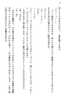 お嬢さま三姉妹にぺろぺろされ続けてると妹がしつけ直しにきました, 日本語