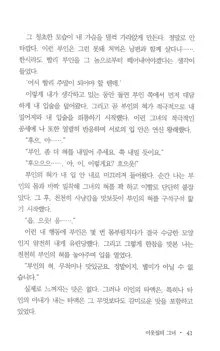 부인함락下, 한국어