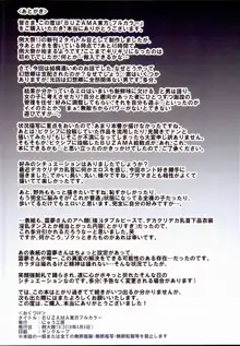 BUZAMA東方フルカラー, 日本語