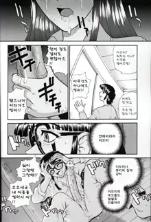 Dulce Report 1~4, 한국어