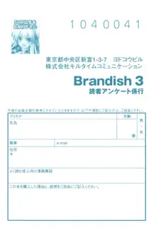 Brandish 3, 한국어