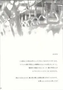 早苗さんin痴漢電車, 日本語