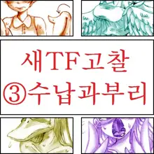 Tori TF ni Kansuru Kousatsu to Renshuu | Study and practice about bird TF, 한국어