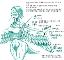 Tori TF ni Kansuru Kousatsu to Renshuu | Study and practice about bird TF, 한국어