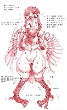 Tori TF ni Kansuru Kousatsu to Renshuu | Study and practice about bird TF, 한국어