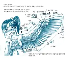 Tori TF ni Kansuru Kousatsu to Renshuu | Study and practice about bird TF, 한국어