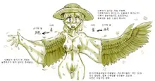 Tori TF ni Kansuru Kousatsu to Renshuu | Study and practice about bird TF, 한국어