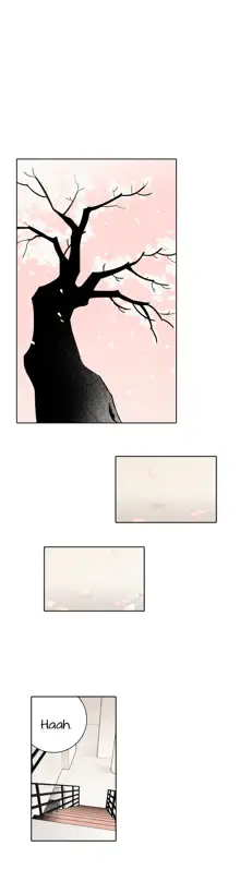 Rabbit Hole Ch.1-6, English