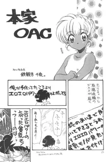 貧乳娘 Vol.4, 日本語