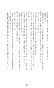 守護聖姫アルテアガーディアンズ 催眠恥辱に堕ちる姉妹, 日本語