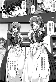 Seiteki Tousaku Maid Shimai!, 中文