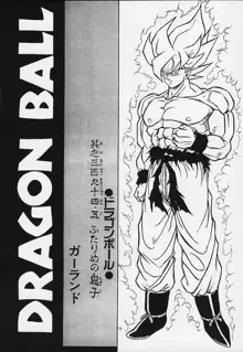 ドラゴンボールH 巻一・二 再版, 日本語