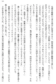 お嬢様と俺の主従関係 ～成功の標は性交にあり！？～, 日本語