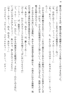 お嬢様と俺の主従関係 ～成功の標は性交にあり！？～, 日本語