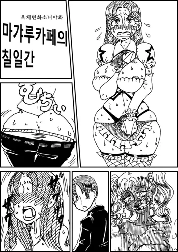 Nikutai Henka Shoujo Yawa ~MaGal Kissa no Nanokakan~, 한국어