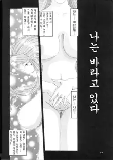 Nightmare of My Goddess Vol. 4, 한국어