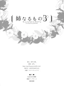 Ane Naru Mono 3, English