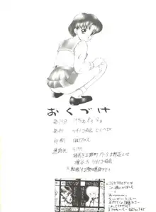 亜美ちゃん下品, 日本語