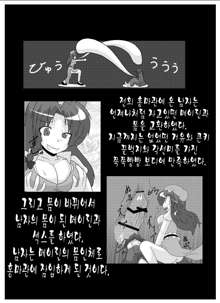 Touhou TS Monogatari ~Koakuma Hen~, 한국어