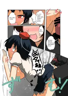 Touhou TS Monogatari ~Shameimaru Hen~, 한국어