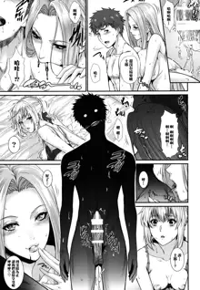 Shirou-kun Harem!! Servant Hen, 中文