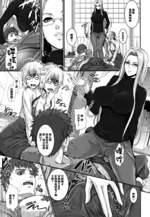 Shirou-kun Harem!! Servant Hen, 中文