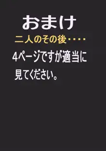 バーチャル露出装置, 日本語