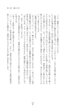 プリミルシャイン 淫紋と触手コスチュームに堕とされる100日, 日本語