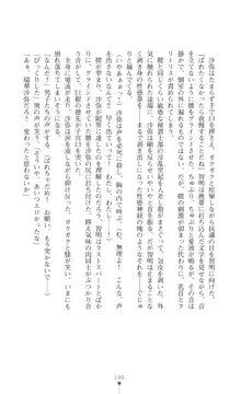 プリミルシャイン 淫紋と触手コスチュームに堕とされる100日, 日本語