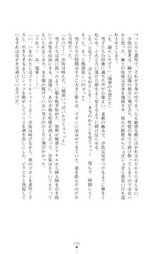 プリミルシャイン 淫紋と触手コスチュームに堕とされる100日, 日本語