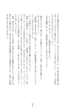 プリミルシャイン 淫紋と触手コスチュームに堕とされる100日, 日本語