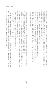 プリミルシャイン 淫紋と触手コスチュームに堕とされる100日, 日本語