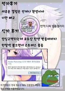 RE;HD VER.P-1, 한국어