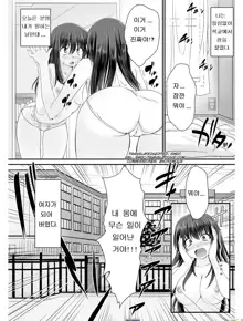 Tennyuu Sensei ~Danshikou no Kiraware Kyoushi ga Nyotaika Shitara~, 한국어